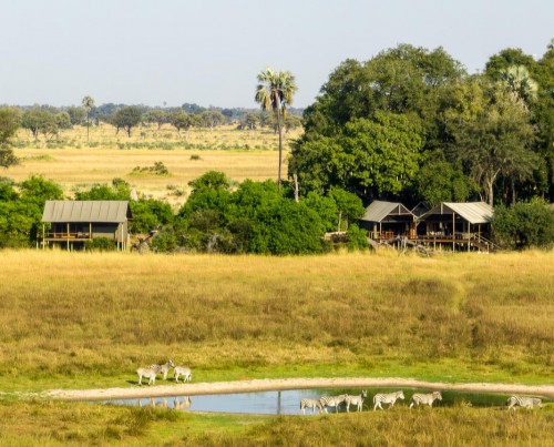Mokolwane Camp