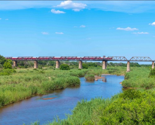 Kruger Shalati