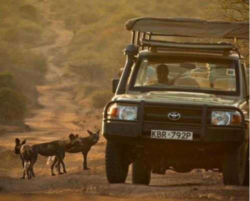Laikipia Wilderness