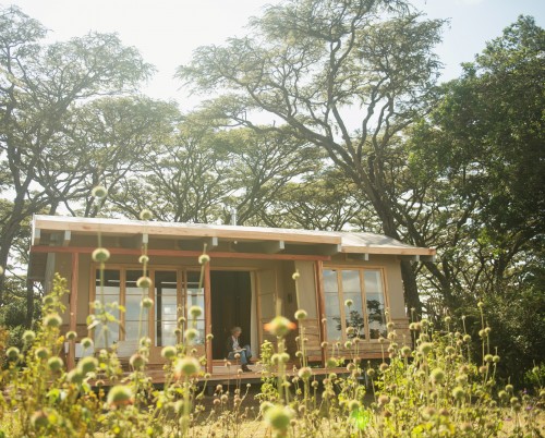 Entamanu
