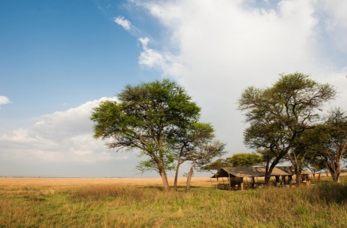 Serengeti Safari Camp