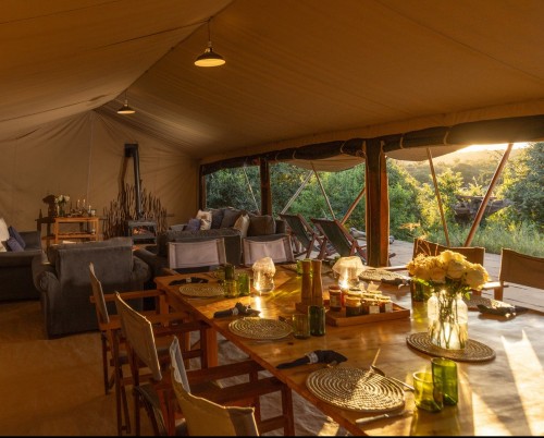 Moon's Camp - Safari Series