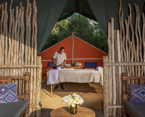 Moon's Camp - Safari Series