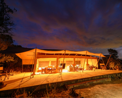 Moon's Camp - Safari Series