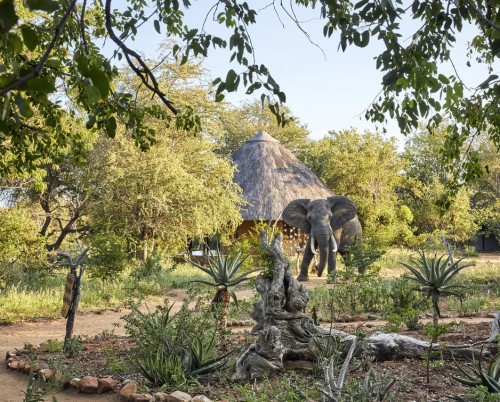 Motswari