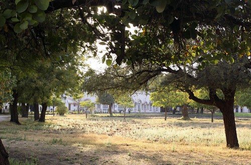 Shahpura Bagh