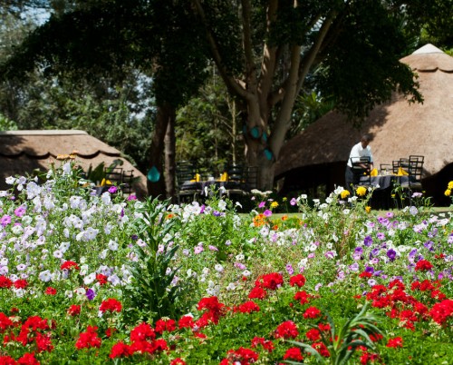 Ngorongoro Farm House