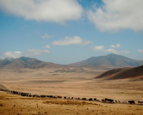 Entamanu