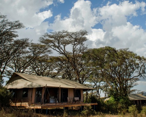 Entamanu