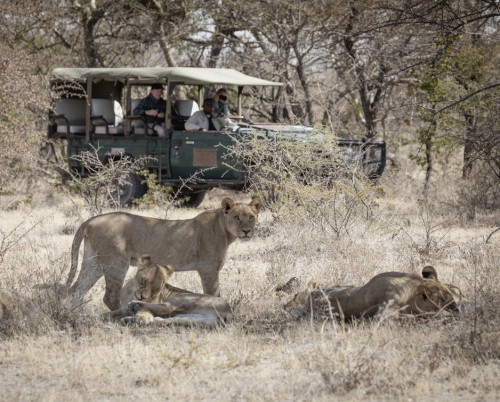 Camp Kalahari