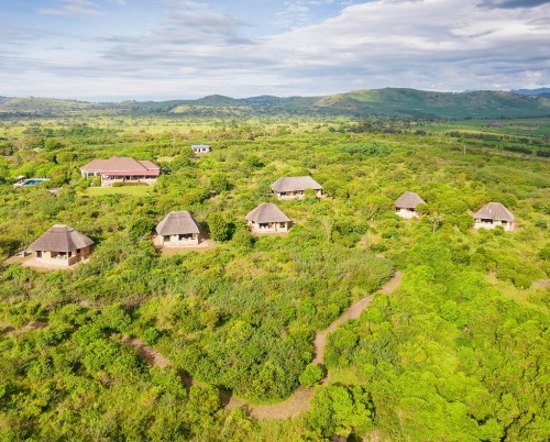 Elephant Plains Lodge