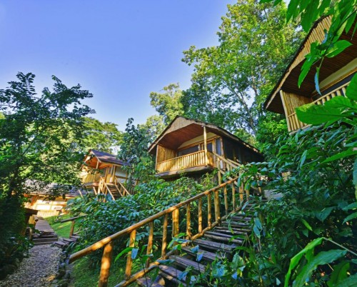 Buhoma Lodge