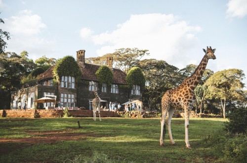 Giraffe Manor