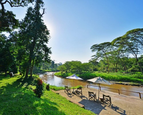 Ishasha Wilderness Camp