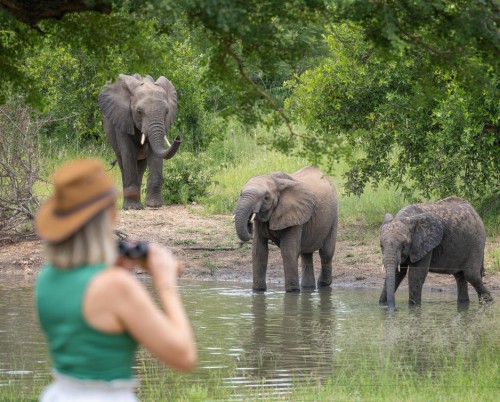 Kambaku Safari Lodge