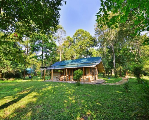 Ishasha Wilderness Camp