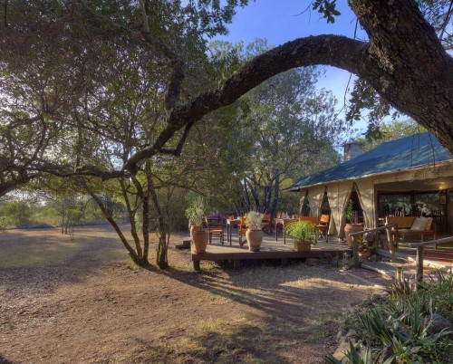 Kicheche Laikipia