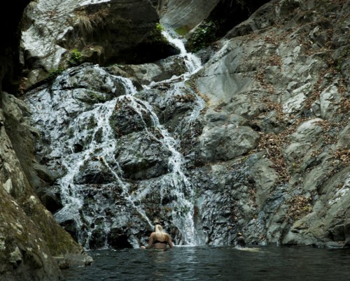 Greystoke Mahale