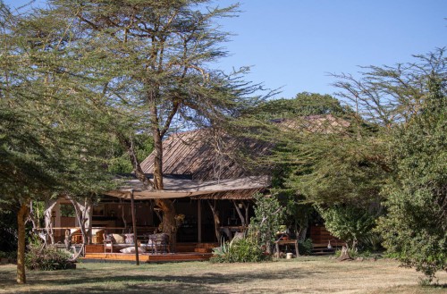 Ekorian's Mugie Camp