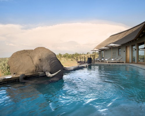 Mhondoro Safari Lodge