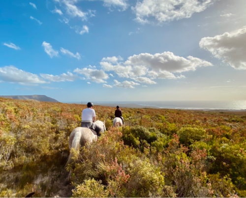 Grootbos Private Reserve