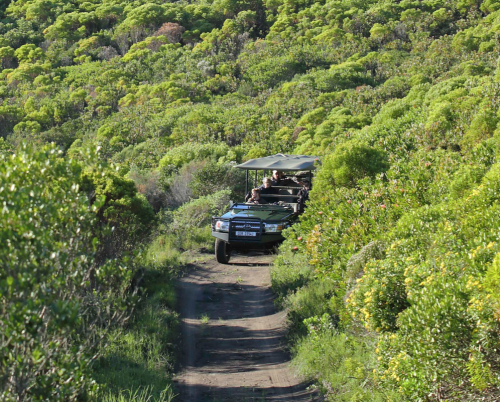 Grootbos Private Reserve