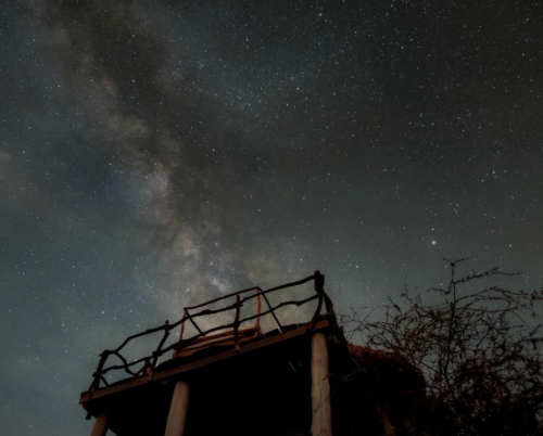 Loisaba Star Beds