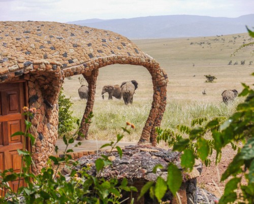 Lewa House