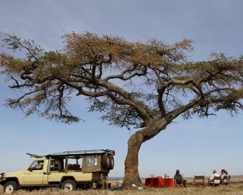 Ekorian's Mugie Camp