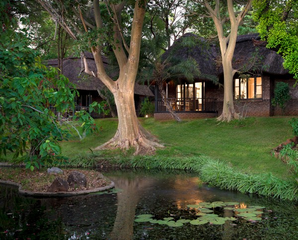 Stanley & Livingstone