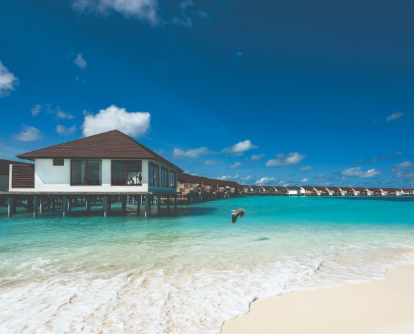 OBLU SELECT at Sangeli