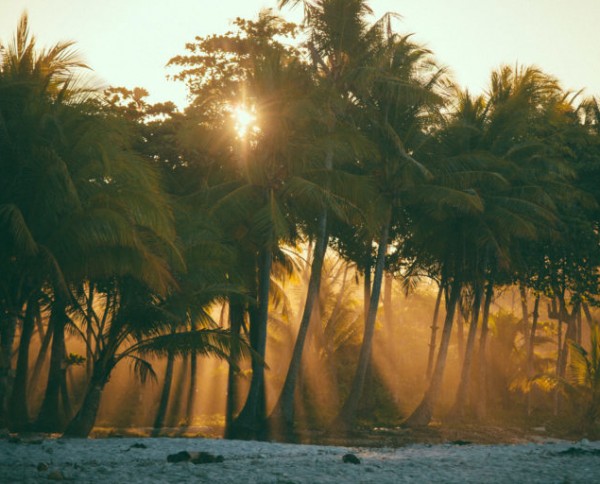 Habitas Santa Teresa