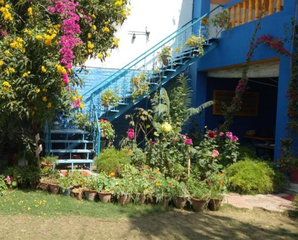 Coral Tree Homestay