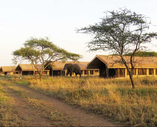Tarangire Tortilis Camp