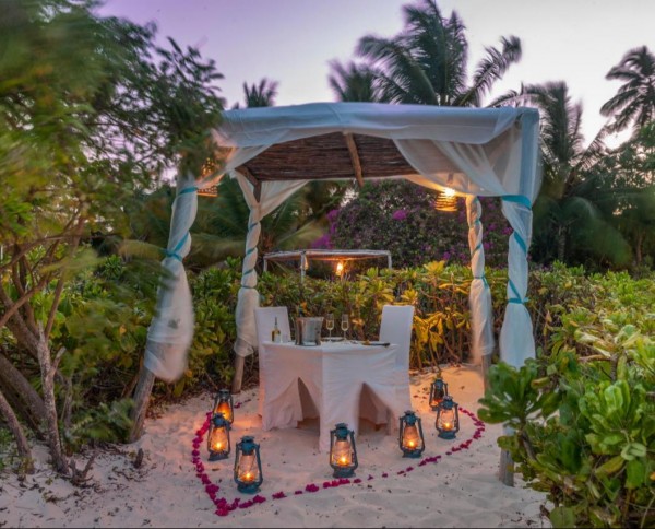 Sharazad Oasis Retreat