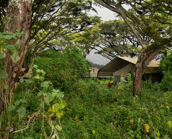 Lemala Ngorongoro Tented Camp
