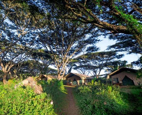 Lemala Ngorongoro Tented Camp