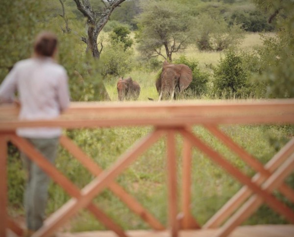 Tarangire Ndovu Tented Lodge