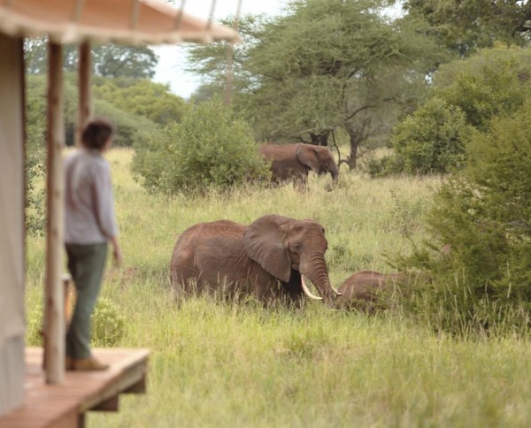 Tarangire Ndovu Tented Lodge