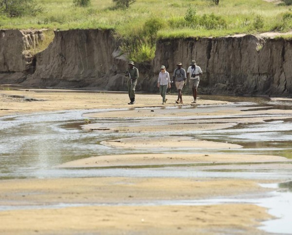 Tarangire Ndovu Tented Lodge