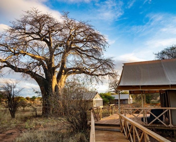 Tarangire Ndovu Tented Lodge