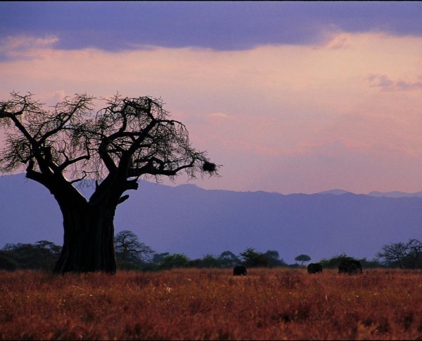 Tarangire Kati Kati Camp