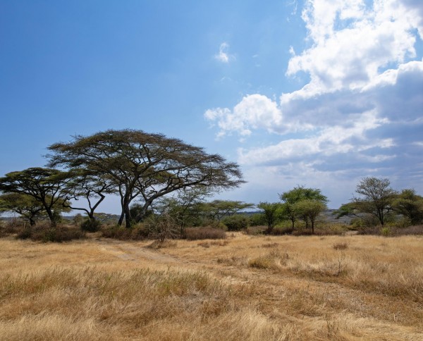 Nyikani Migration Camp