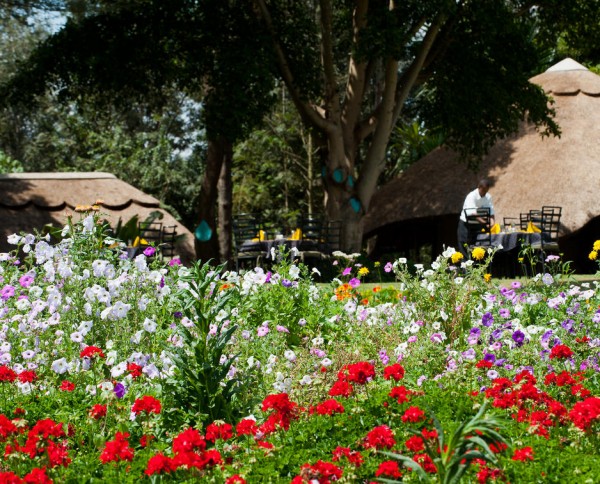 Ngorongoro Farm House