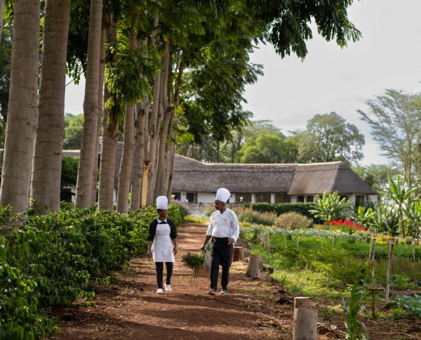 Ngorongoro Farm House