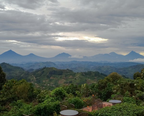 Nkuringo Bwindi Gorilla Lodge