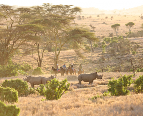 Lewa Wilderness