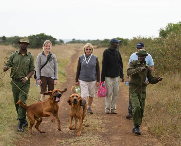 Ekorian's Mugie Camp