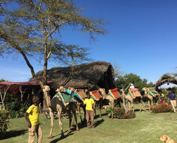 Ekorian's Mugie Camp