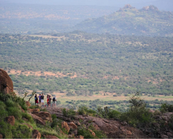 Karisia Walking Safaris